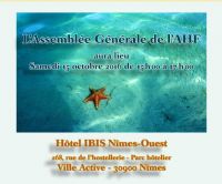 Assemblée Générale 2016 Association Hémochromatose France. Le samedi 15 octobre 2016 à NIMES. Gard.  15H00